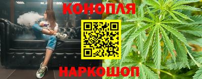 прущие грибы Комсомольск-на-Амуре