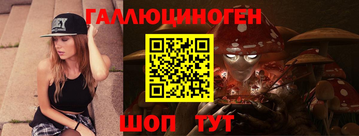 Псилоцибиновые грибы мицелий Жуковский